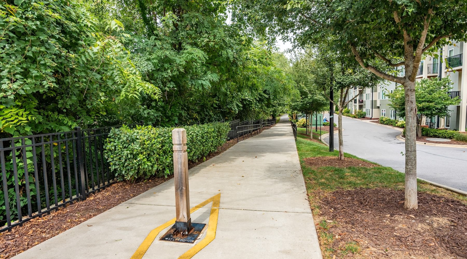 a walking path lined with trees
